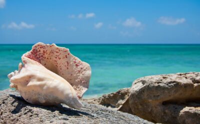 AMARIS Grace Bay: Luxury Resort Coming to Turks and Caicos in 2028